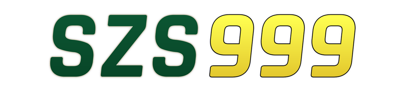 szs999 Logo